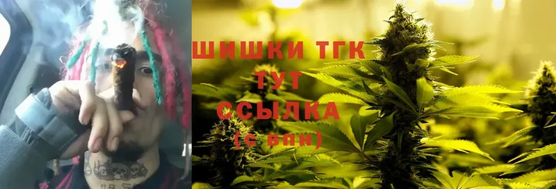 Бошки марихуана THC 21%  Завитинск 